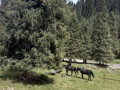 -新疆那拉提国家旅游度假区
