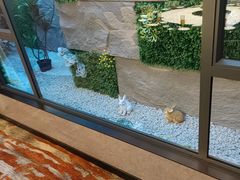 -尖沙咀大酒楼(罗村店·粤菜海鲜·宴会聚餐)
