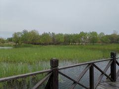 -溱湖国家湿地公园