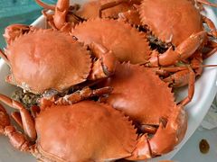 -南沙十九涌渔人码头-南门