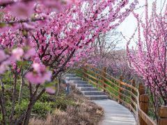 -北岭山森林公园
