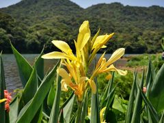 -广州市石门国家森林公园