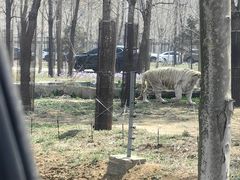 -秦皇岛野生动物园