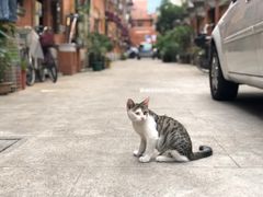 -静安别墅