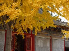 -法门文化景区