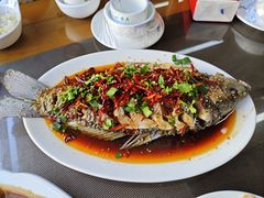 -微山岛春天里酒家