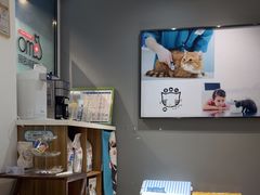 -御宝贝·A梦猫科宠物医院(国际猫友好医院)