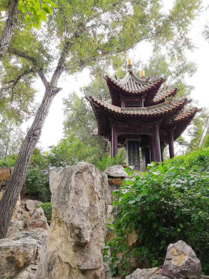 碑林公园-"周末陪老妈去了碑林公园,傅山碑林是国内独.