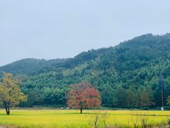 -塔川景区