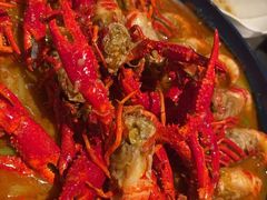 -红盔甲·小龙虾(天钥桥店)