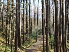 -山王坪喀斯特国家生态公园