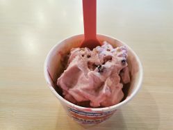 -朵莉丝希腊冻酸奶