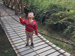 -武清南湖绿博园