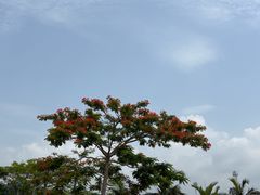 -一寨两国风景区