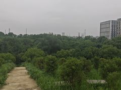-春满园·早茶·粤菜·宴会(前海店)