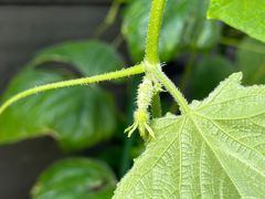 -北京天湖会议中心