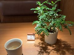 -CURRY YA 熟成咖哩專門店(深圳湾万象城店)