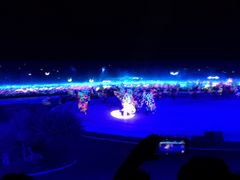 -鼎盛王朝康熙大典实景演出