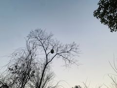 -深业半汤御泉庄温泉