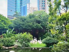 -九龙公园
