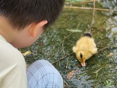 -上海长兴岛郊野公园