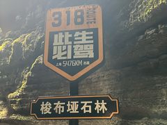 -梭布垭石林景区