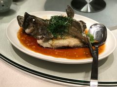 -金苑海鲜酒家(来魅力店)