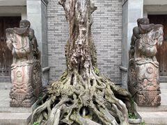 -龙潭水乡