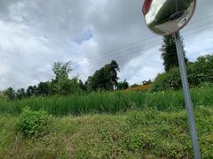 -腾冲北海湿地