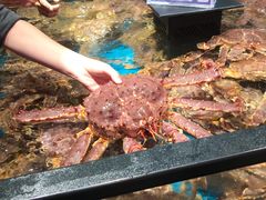 -盒马鲜生(莱蒙都会店)