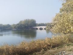 -大兴滨河森林公园