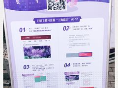 -嘉定紫藤园