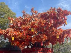 -芜湖方特东方神画