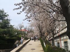 -烟台山景区