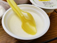 原味双皮奶-奶酪魏(牛街总店)