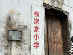 -杨家堂村