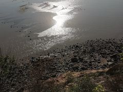 -北岐滩涂