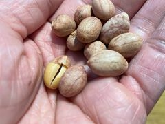 -段氏奇香花生米(长嘉汇店)