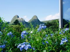 -万峰林风景区