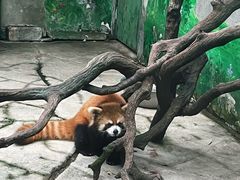 -常州淹城野生动物世界