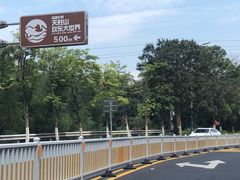 -九龙江国家森林公园