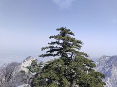 -华山风景名胜区