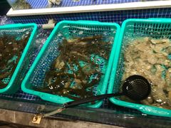 -丰卓会海鲜自助(中润大道店)