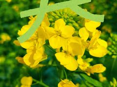 -沈阳铁西万象汇