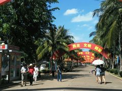 -万绿园