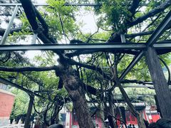 -红螺寺