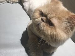 -小时光咖啡馆(开森度假森林店)