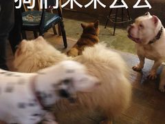 -萌喵咖啡屋(人民东路4号口M16商铺店)