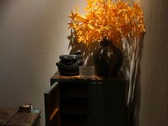 -Dragonfly 悠庭·按摩Spa(苏州中心广场店)