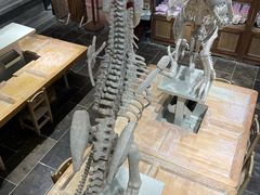 -唐山宴大唐州府精品中餐